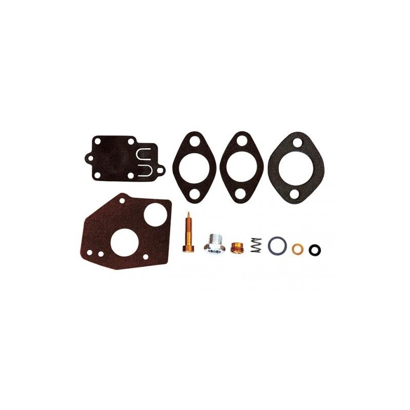 Kit reparación carburador motor BRIGGS STRATTON 2 3 CV horizontal