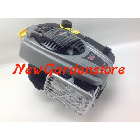 Motore Rasaerba Completo BRIGGS STRATTON 850 Volano Pesante 25 X