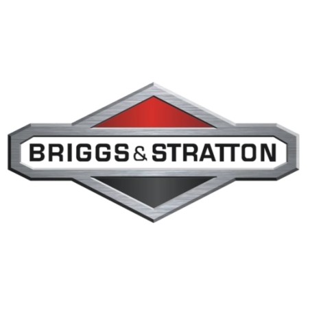 Arandela del motor del cortacésped original BRIGGS & STRATTON | Newgardenstore.eu