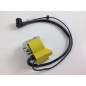 OLEOMAC chainsaw ignition coil 999 099900675DR