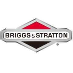 Tuerca ORIGINAL BRIGGS & STRATTON para tractor cortacésped 1960282SM | Newgardenstore.eu