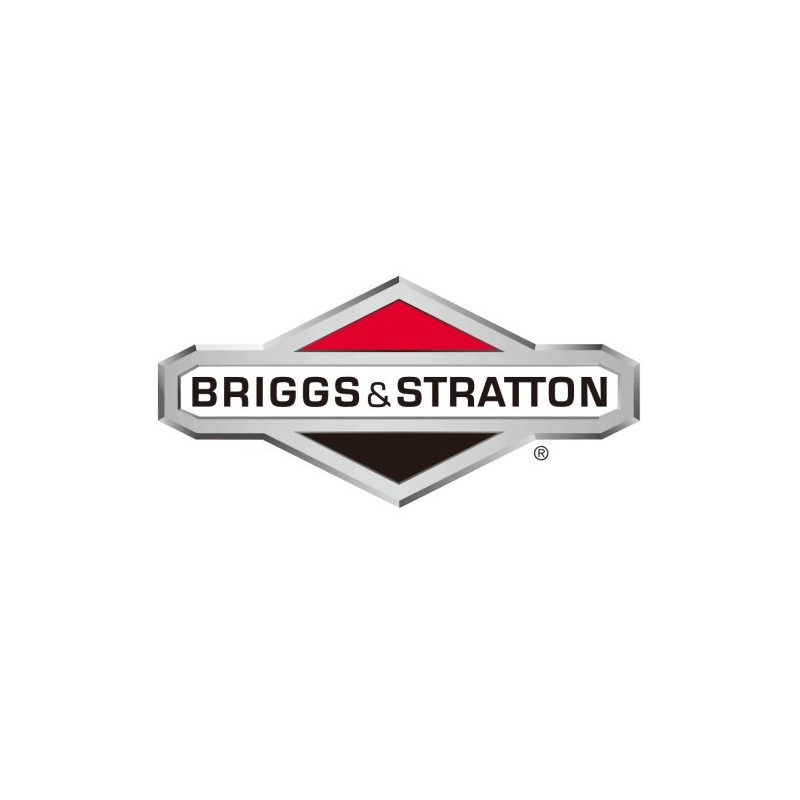 Tuerca ORIGINAL BRIGGS & STRATTON para tractor cortacésped 1960282SM