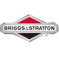 Tuerca ORIGINAL BRIGGS & STRATTON para tractor cortacésped 1960282SM