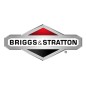 Molla trattorino tagliaerba rasaerba ORIGINALE BRIGGS & STRATTON 165X155MA