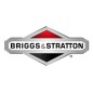 ORIGINAL BRIGGS & STRATTON tracteur de pelouse ressort de tondeuse 165X155MA