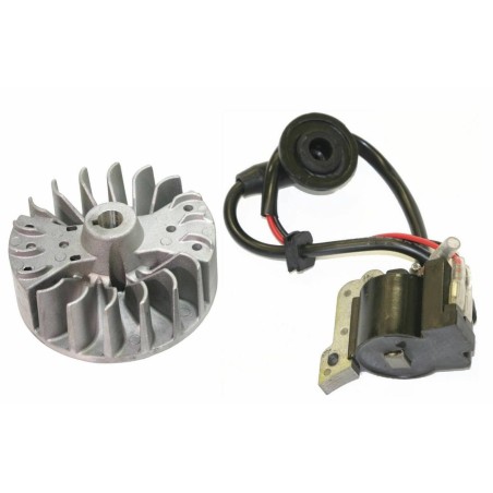 Electronic engine starter coil for brushcutter 260 E1 sprayer 3WZ6F KASEI | Newgardenstore.eu