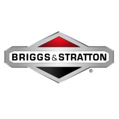 BRIGGS & STRATTON lawn tractor mower washer 1401102MA