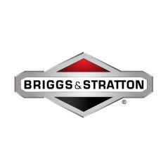 Filtro aria motore ORIGINALE BRIGGS & STRATTON 397795S | Newgardenstore.eu