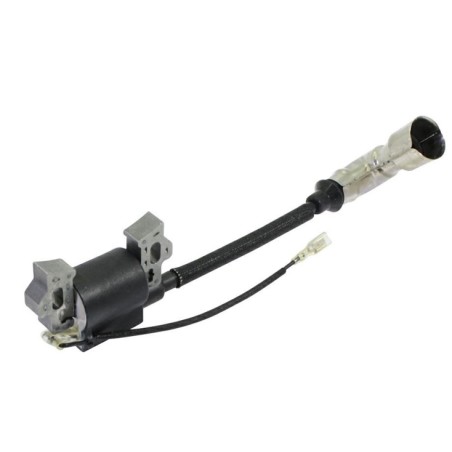 Lawn mower motor electronic coil 1P61F 1P65F 1P70F LONCIN 270920215-0001 | Newgardenstore.eu