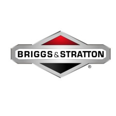 ORIGINAL BRIGGS & STRATTON tracteur de pelouse jauge d'huile 594022 | Newgardenstore.eu