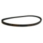 ORIGINAL OLEOMAC mower drive belt G 44 TB - G 44 TK - Gi 44 T