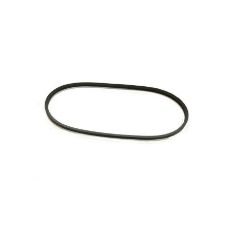 ORIGINAL OLEOMAC G 47 T - G 48 TAL - G 48 TBG mower drive belt | Newgardenstore.eu