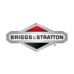 Tornillo ORIGINAL BRIGGS & STRATTON para tractores de césped 776060MA | Newgardenstore.eu