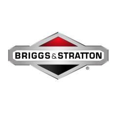Axe de pivot de tracteur de pelouse ORIGINAL BRIGGS & STRATTON 793474 | Newgardenstore.eu