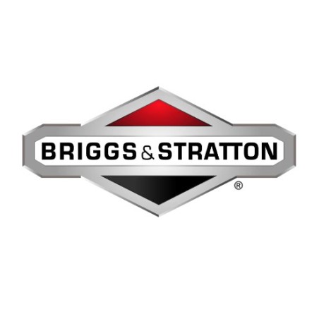 Axe de pivot de tracteur de pelouse ORIGINAL BRIGGS & STRATTON 793474 | Newgardenstore.eu