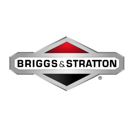 Goupille ORIGINALE BRIGGS & STRATTON pour tracteur de pelouse 790560 | Newgardenstore.eu