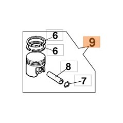 Chainsaw piston diameter 46 mm models 951 95100009 OLEOMAC | Newgardenstore.eu