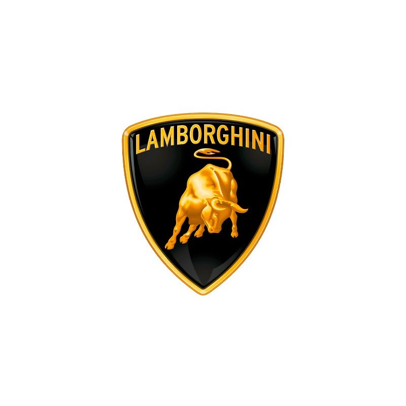 Bobina de encendido desbrozadora compatible LAMBORGHINI 1P64F