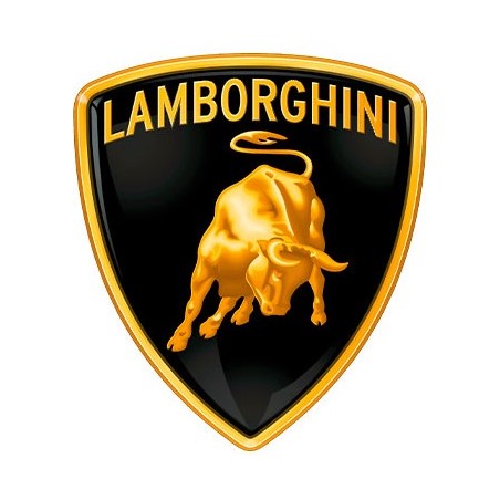 Bobina de encendido desbrozadora compatible LAMBORGHINI 1P64F | Newgardenstore.eu