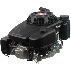 LONCIN 22x80 volante de inercia de alta resistencia 196cc 6.5 Hp motor cortacésped de tiro vertical completo | Newgardenstore.eu