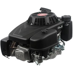 Motore LONCIN 22x80 pesante 196 cc 6.5 Hp completo rasaerba verticale a strappo | Newgardenstore.eu