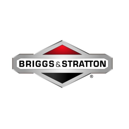 BRIGGS & STRATTON Unterlegscheibe für Rasentraktor-Mähwerk 1709256 | Newgardenstore.eu