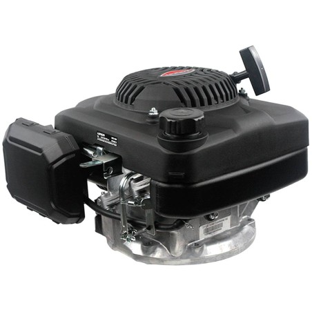 Motor LONCIN 22x60 light 166 cc 6 Hp komplett Benzin Vertikalmäher | Newgardenstore.eu