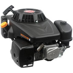 Motore Loncin 25x80 pesante 224 cc 6 Hp completo rasaerba verticale a strappo | Newgardenstore.eu