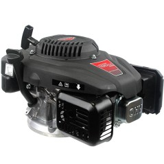 LONCIN 22x80 light 196cc 5.4 Hp engine complete with upright mower | Newgardenstore.eu