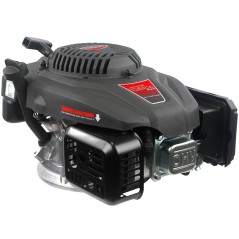 LONCIN 22x60 moteur léger 139cc 3 Hp tondeuse à enrouleur vertical complète | Newgardenstore.eu