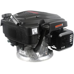 LONCIN 22x60 schwerer Motor 166cc 4Hp kompletter vertikaler Spindelmäher | Newgardenstore.eu