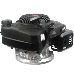 LONCIN 25x80 leichter Motor 196cc 5.4Hp kompletter vertikaler Spindelmäher | Newgardenstore.eu