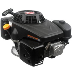 LONCIN 25x80 heavy 224cc 6Hp engine complete with reel mower+electric | Newgardenstore.eu