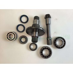 GOLDONI overhaul spare parts kit tiller body type 22 motor cultivator 00070875 | Newgardenstore.eu