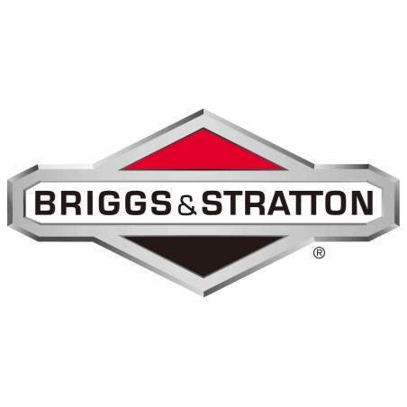 BRIGGS & STRATTON filtro de aire del motor del cortacésped 397182 | Newgardenstore.eu