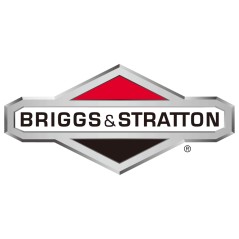 Réservoir de carburant pour tondeuse à gazon BRIGGS & STRATTON 397789