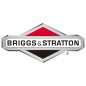 BRIGGS & STRATTON Rasenmähermotor-Vergaserbausatz 497301