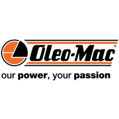 OLEOMAC SAE10W-30 aceite especial para motores de 4 tiempos en varios tamaños
