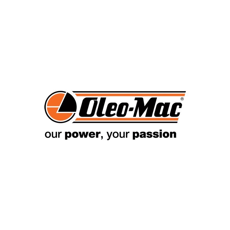 OLEOMAC SAE10W-30 special oil for 4-stroke engines in various sizes