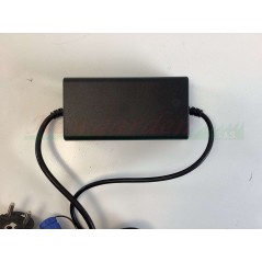 Chargeur de batterie Ambrogio L60 ELITE : C02412 | Newgardenstore.eu