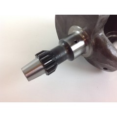 Crankshaft for DIESEL LOMBARDINI AUTOTRACTION engine 4LD820 1051.012 | Newgardenstore.eu