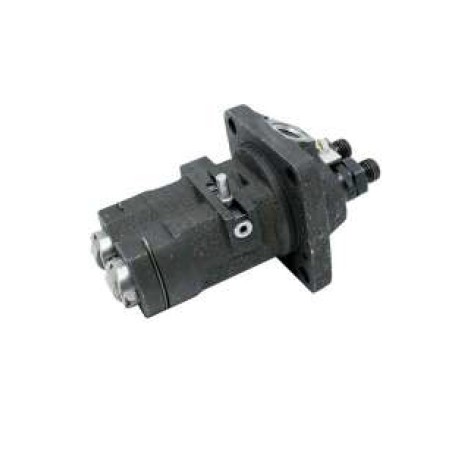 Fuel injection pump DIESEL LOMBARDINI RUGGERINI RD180 RD200 RD208 RD210 | Newgardenstore.eu