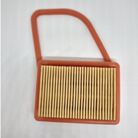 ORIGINAL OLEOMAC air filter for brushcutter BC 530S - BC 530T - BC 550 MASTER | Newgardenstore.eu