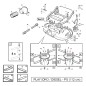 Screw TBEI M10X20 UNI7380 PLAYGREEN ORIGINAL GIANNI FERRARI 00111350020