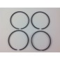 DIESEL RUGGERINI CRD100 P101 RP170 engine 4-segment STANDARD 100 mm piston ring kit