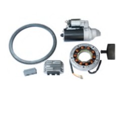 Electric starter kit with regulator and alternator RUGGERINI RF130 engine | Newgardenstore.eu