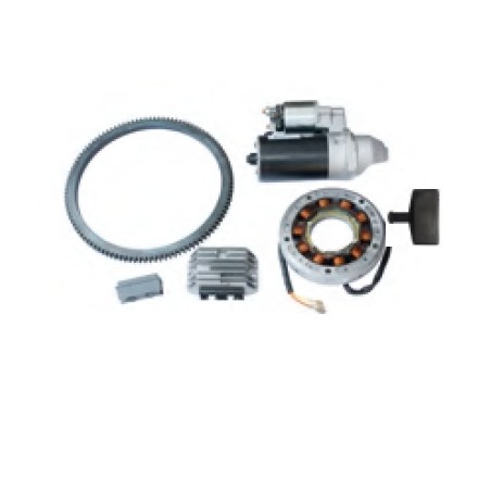 Electric starter kit with regulator and alternator RUGGERINI RF130 engine | Newgardenstore.eu