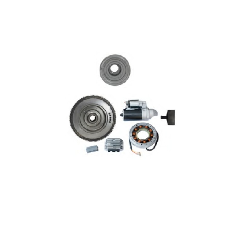 Elektrostarterkit mit Schwungrad DIESEL-Motor RUGGERINI RF80 RF81 RF90 RF120