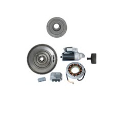 Kit avviamento elettrico con volano regolatore alternatore motoreRUGGERINI RF130 | Newgardenstore.eu