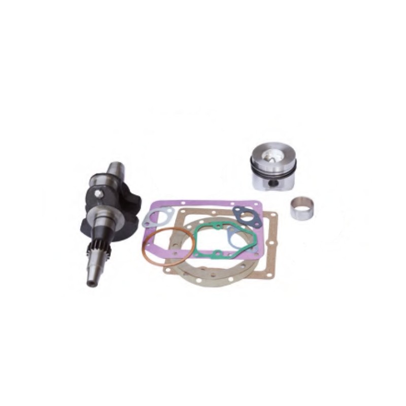 Kit revisione pistone albero motore serie guarnizioni DIESEL LOMBARDINI 15LD315